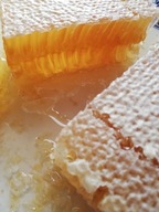 Honeycomb Raw Unique Honeycomb Raw Unique