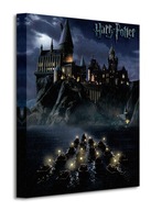 Rokfortská škola Harryho Pottera - Maľba na plátno
