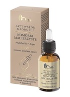 Ava Youth Activator Stem Cells Serum Ava Youth Activator Stem Cells Serum