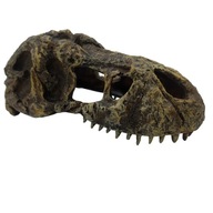 Malý tyrannosaurus lebkový úkryt terária Malý tyrannosaurus lebkový úkryt terária