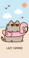OTEČKA PLÁŽOVÁ 70x140 CAT PUSHEEN 09 OTEČKA PLÁŽOVÁ 70x140 CAT PUSHEEN 09