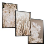 SET Plagáty bez rámov 3x(30x40) A3 BOHO Spálňa SET Plagáty bez rámov 3x(30x40) A3 BOHO Spálňa