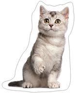 Vankúš v tvare Cat Kitty Carbotex Vankúš v tvare Cat Kitty Carbotex