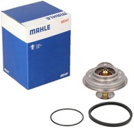 TERMOSTAT RENAULT 18 19 I II 21 TRAFIC MASTER TERMOSTAT RENAULT 18 19 I II 21 TRAFIC MASTER