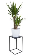 Moderný stojan na kvety LOFT, 40 cm, čierny Moderný stojan na kvety LOFT, 40 cm, čierny