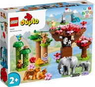 LEGO DUPLO 10974 Ázijské divé zvieratá