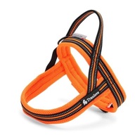 Postroj pre nórskeho psa Truelove S oranžový Postroj pre nórskeho psa Truelove S oranžový