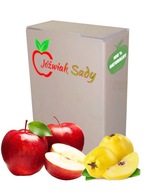 JABLKO-QUINCE JUICE 5L NFC JABLKO-QUINCE JUICE 5L NFC