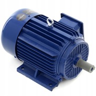 ELEKTRICKÝ MOTOR 3,0 kW | 2840 ot./min | 380 V ELEKTRICKÝ MOTOR 3,0 kW | 2840 ot./min | 380 V