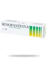 Rinopanteina masť do nosa 10 g Rinopanteina masť do nosa 10 g