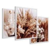 SET Zarámované obrazy plagáty suchá tráva boho kvety triptych 43x99 SET Zarámované obrazy plagáty suchá tráva boho kvety triptych 43x99