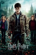 Nástenný plagát z filmu Harry Potter 61x91,5 cm Nástenný plagát z filmu Harry Potter 61x91,5 cm