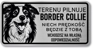 Pozor Dog Border Collie z nerezovej ocele Pozor Dog Border Collie z nerezovej ocele
