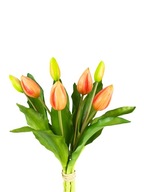 KYTICA TULIPSOV 7 ks, ORANŽOVÉ TULIPSY, silikón KYTICA TULIPSOV 7 ks, ORANŽOVÉ TULIPSY, silikón