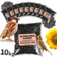 10x čierna slnečnica 10x čierna slnečnica