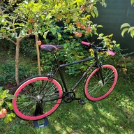Jednorýchlostný bicykel Baluma Black Fuchsia veľkosť 53
