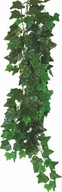 DEKORÁCIA RASTLINNÉHO TERÁRIA HEDERA HELIX 50CM DEKORÁCIA RASTLINNÉHO TERÁRIA HEDERA HELIX 50CM