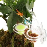 TERARIO GECKO BAR TROJMISA ZÁSADNÁ GECKO TERARIO GECKO BAR TROJMISA ZÁSADNÁ GECKO