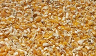 RÚČENÉ DRVENÉ KUKURIČNÉ ŠTVRTE 25KG SUPER RÚČENÉ DRVENÉ KUKURIČNÉ ŠTVRTE 25KG SUPER
