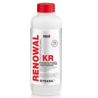 DYNASIL RENOWAL KR odstraňuje výkvety, cement 1L