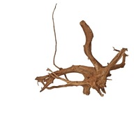 Red Moor Root pre akvárium alebo terárium 68