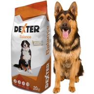 Dexter Balance Vitamins Large Breeds 20kg Dexter Balance Vitamins Large Breeds 20kg