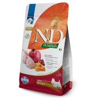 ND Tekvica Prepelica 2kg Mini Dospelá Prepelica Tekvica ND Tekvica Prepelica 2kg Mini Dospelá Prepelica Tekvica