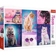 Puzzle 1000 Super Cats Neon Color Line 10581 Puzzle 1000 Super Cats Neon Color Line 10581