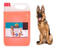 GoldDog Lososový olej 5l pre psov a mačky GoldDog Lososový olej 5l pre psov a mačky