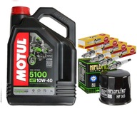 HF303 MOTUL OLEJOVÉ ZÁSTRČKY KAWASAKI ZX-9R ZX 9R 94-01 HF303 MOTUL OLEJOVÉ ZÁSTRČKY KAWASAKI ZX-9R ZX 9R 94-01