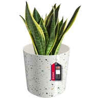 KVETINÁČ KRYT NA TERRASTRICKÝ ČREŇ 30x31cm KVETINÁČ KRYT NA TERRASTRICKÝ ČREŇ 30x31cm