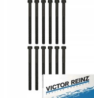 SKRUTKA HLAVY 12 KUSOV REINZ pre VW TOUAREG 2.5 SKRUTKA HLAVY 12 KUSOV REINZ pre VW TOUAREG 2.5