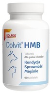 Dolvit HMB Svaly pre psa a kartu Cat 90. Dolvit HMB Svaly pre psa a kartu Cat 90.