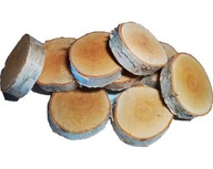 Kotúče z brezového dreva 9-11/2 cm mokré x100