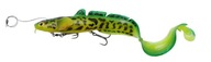SG 3D Line Thru Burbot 36cm 216g FS Firetiger SG 3D Line Thru Burbot 36cm 216g FS Firetiger