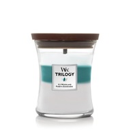Sviečka Woodwick Stredná New Icy Woodland 275 g Sviečka Woodwick Stredná New Icy Woodland 275 g
