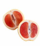 Grapefruitová šťava 100% 5l (grapefruit, NFC)