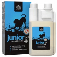 TEMPTATION Chondroline Junior+HA JOINTS 500ml TEMPTATION Chondroline Junior+HA JOINTS 500ml