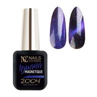 Iguana Magnetique 2004 Nails Company magnetický hybridný lak 6ml Iguana Magnetique 2004 Nails Company magnetický hybridný lak 6ml