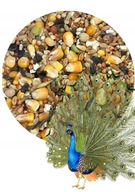 Paw - Universal Food - 10 kg zmes krmiva Paw - Universal Food - 10 kg zmes krmiva