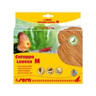 SYROVÉ MANDĽOVÉ LISTY CATAPPA LISTY M 10 KS SYROVÉ MANDĽOVÉ LISTY CATAPPA LISTY M 10 KS