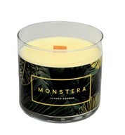 MONSTERA SVIEČKA IVORY V SKLE V9cm MONSTERA SVIEČKA IVORY V SKLE V9cm
