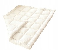 ANTALERGICKÁ VIP DEKA 160x200 NOVINKA ANTALERGICKÁ VIP DEKA 160x200 NOVINKA