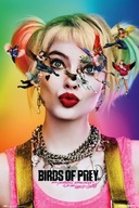 Plagát Birds Of Prey Dazed and Confused 61x91,5 cm Plagát Birds Of Prey Dazed and Confused 61x91,5 cm