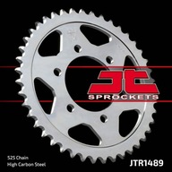 Kawasaki JT Sprockets JTR1489.42 zadné ozubené koleso Kawasaki JT Sprockets JTR1489.42 zadné ozubené koleso