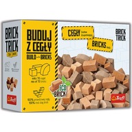 TEHLA TRICK HRAD BRICS MOZAIKA 70 KS. KLUB TEHLA TRICK HRAD BRICS MOZAIKA 70 KS. KLUB