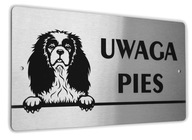 Sign POZOR PES Cavalier King Charles španiel Sign POZOR PES Cavalier King Charles španiel