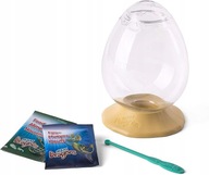 AQUA DRAGONS JURASSIC TIME EGG 4005 ŽIVÉ DRAKY AQUA DRAGONS JURASSIC TIME EGG 4005 ŽIVÉ DRAKY