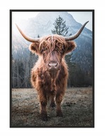 OBRAZOVÝ PLAGÁT V RÁME 33x43 cm Highlander P1400 OBRAZOVÝ PLAGÁT V RÁME 33x43 cm Highlander P1400