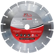 Diamantový kotúčový segment 22,2x230 PROLEX